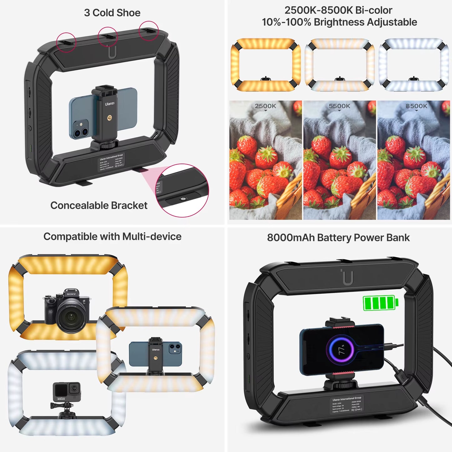 Smartphone Video Rig with LED Ring Light